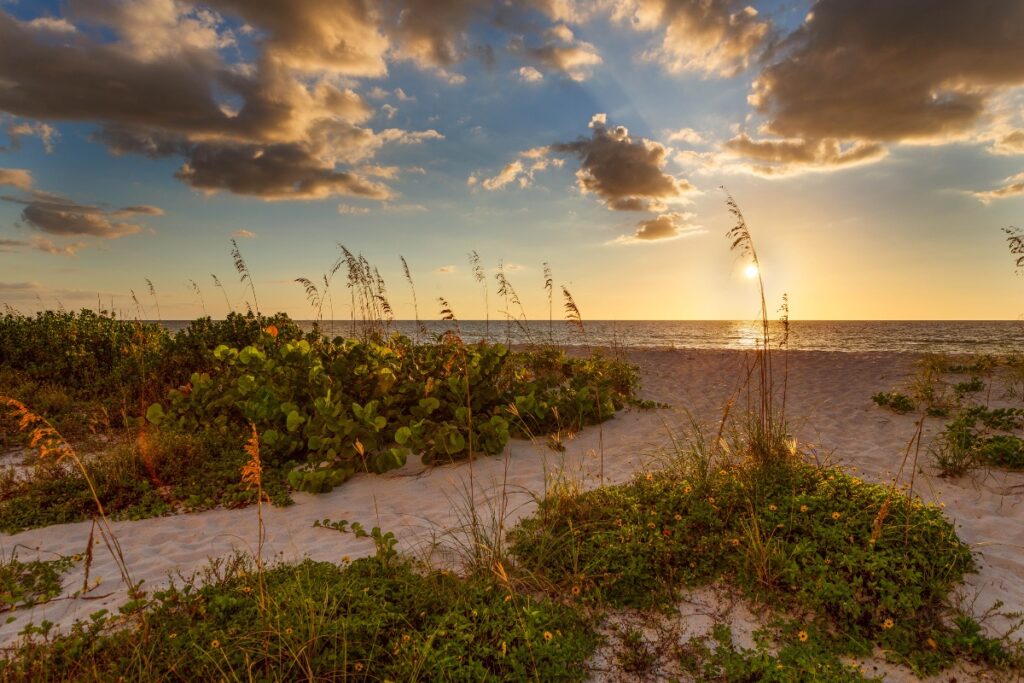 6701 Burlington Avenue N · St Petersburg, FL 33710 — photo 10